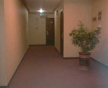 Rose Garden Hotel Shanghai Other