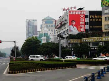 Damo Hotel LeshanOver view