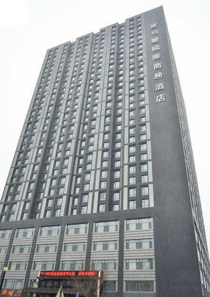 Baolifeng International Business Hotel Over view