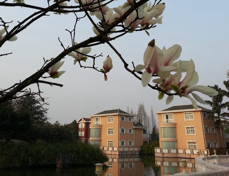 Tianlun International Hotel Chengdu Over view