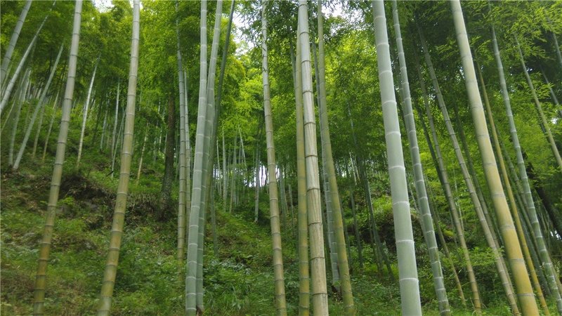周边景点