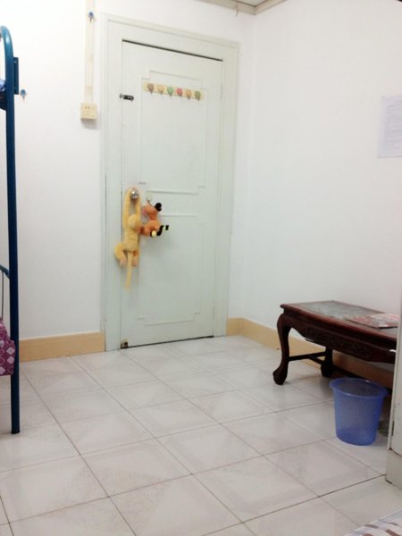 Cha Qing Youth Hostel Guest Room