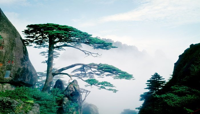 HuangShan Ticket Guest Room