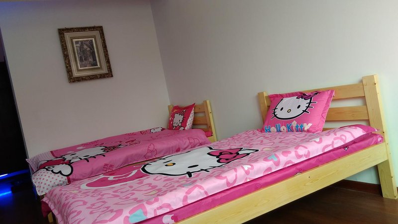 Paris spring Youth Hostel Guest Room