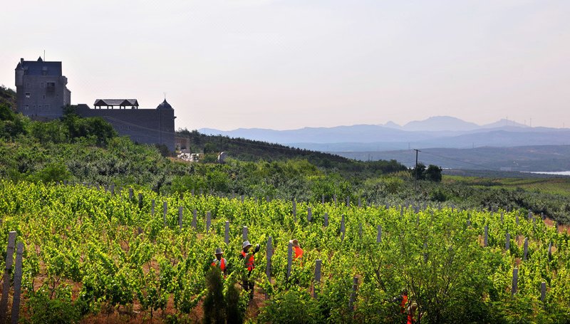 Scottish Castle Over view