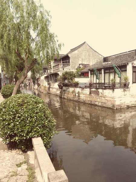 Xitang Guxiang Flower Homestay Over view