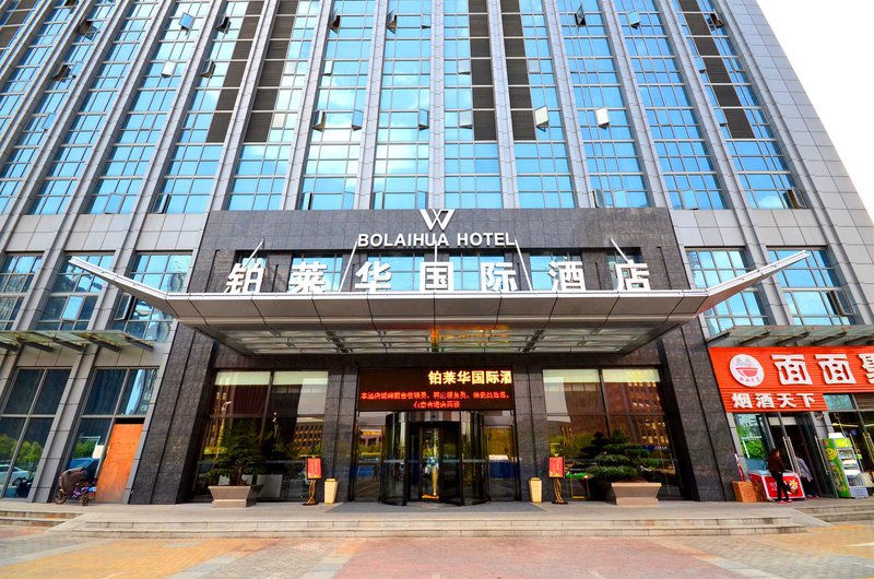 铂莱华国际酒店(武汉光谷金融港地铁站店)外景图