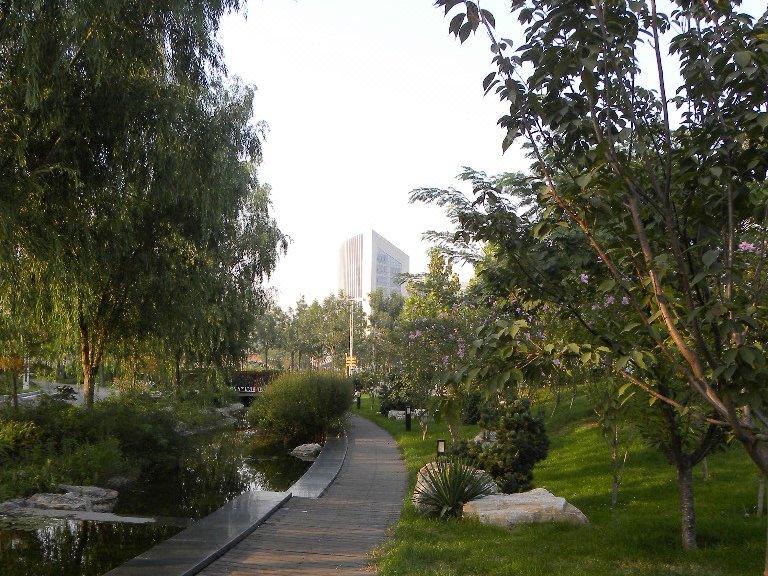 Cao Fei Island Hotel Over view