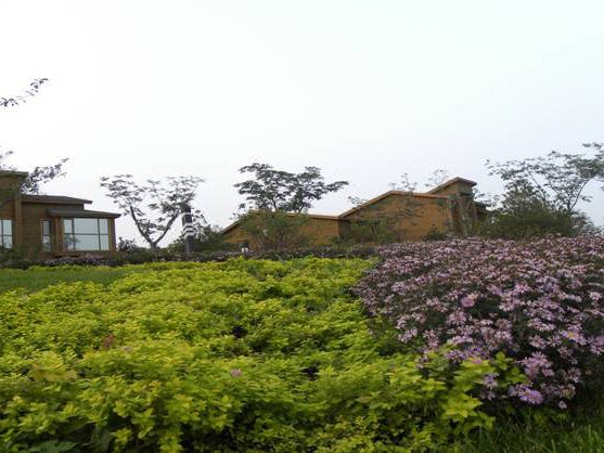 Cao Fei Island Hotel Over view