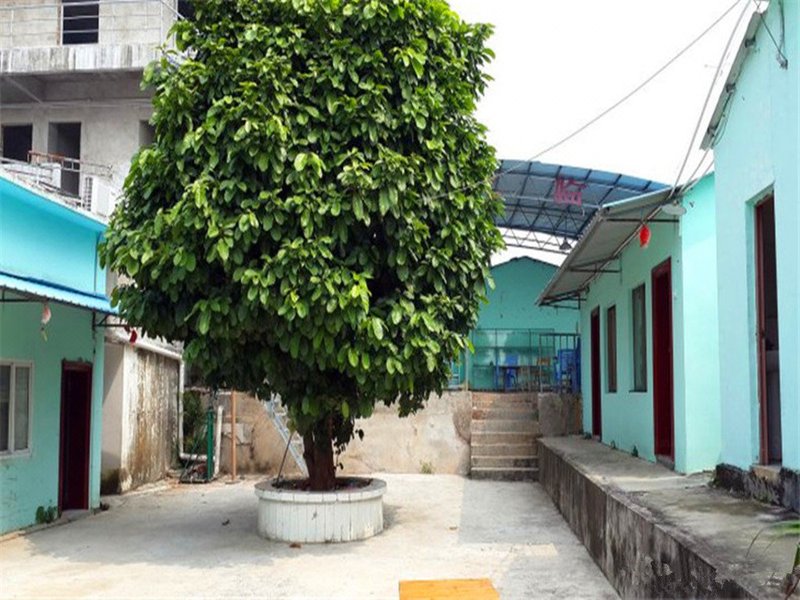 The north sea green hill hotel Hotel public area