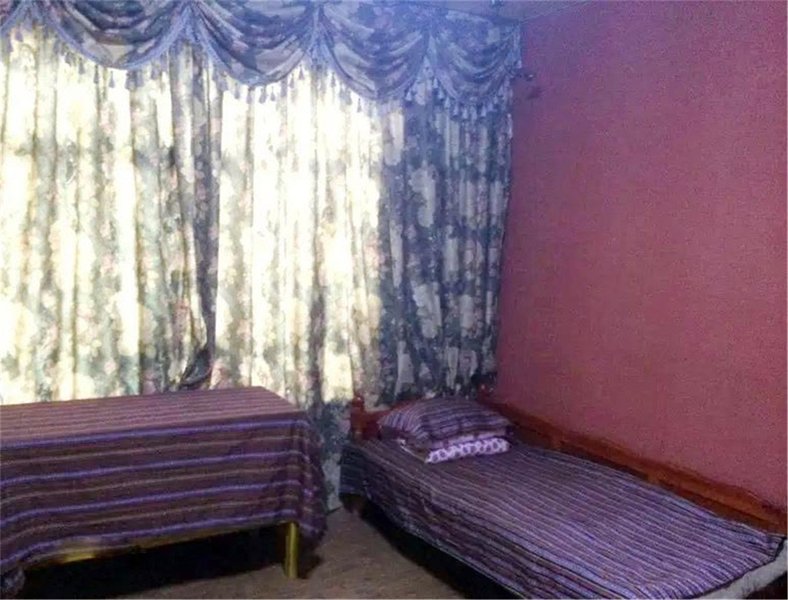 The Gesang's Sunny Inn Guest Room