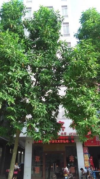 Phoenix hotel guests Over view