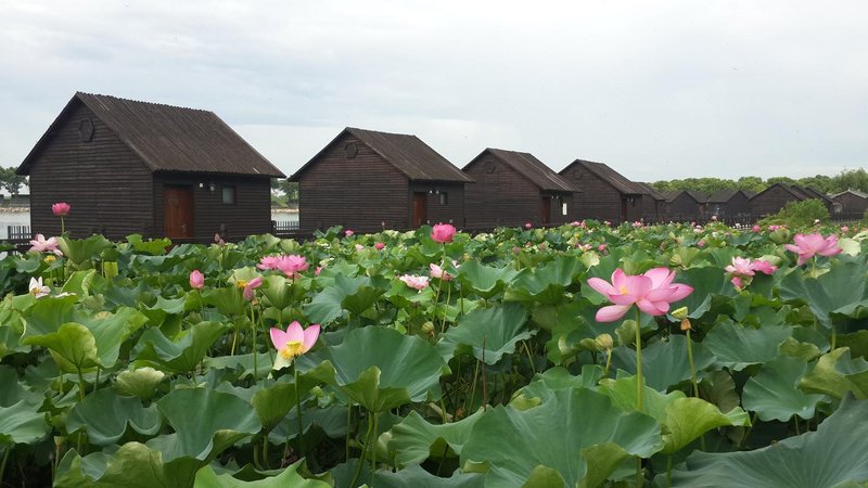 Zhushanhu Lake Town HotelOver view