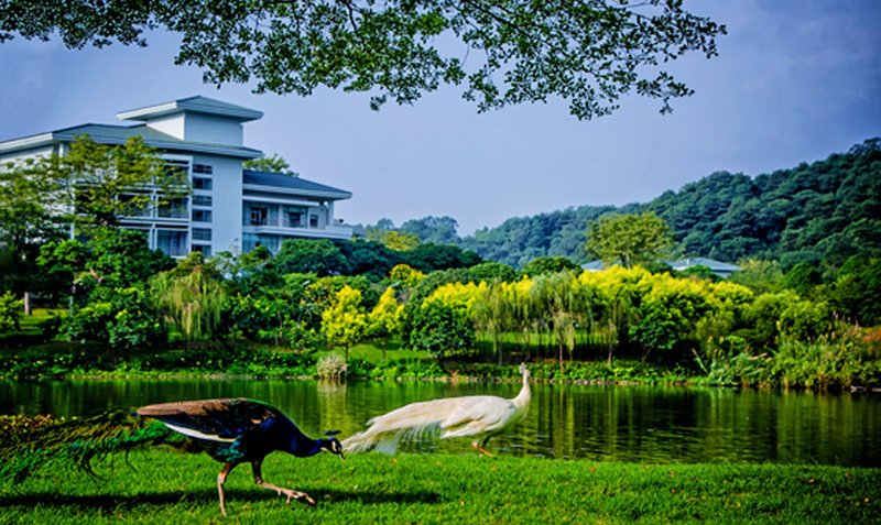 Liyuan Villa Over view