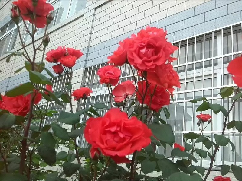 Yunhai Villa Over view