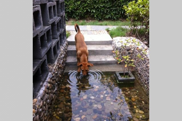 Pushe TownhouseOver view