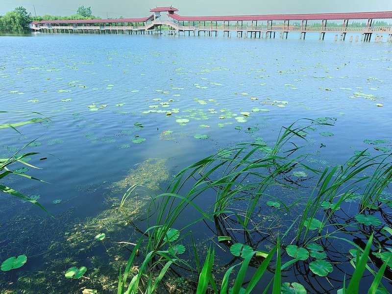 上海金龟岛养生基地外景图