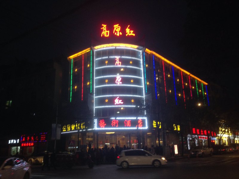 Gaoyuanhong Art Hotel over view