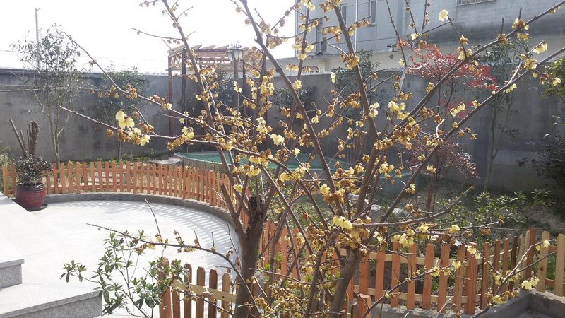 Yun Garden Hotel Shanghai Over view