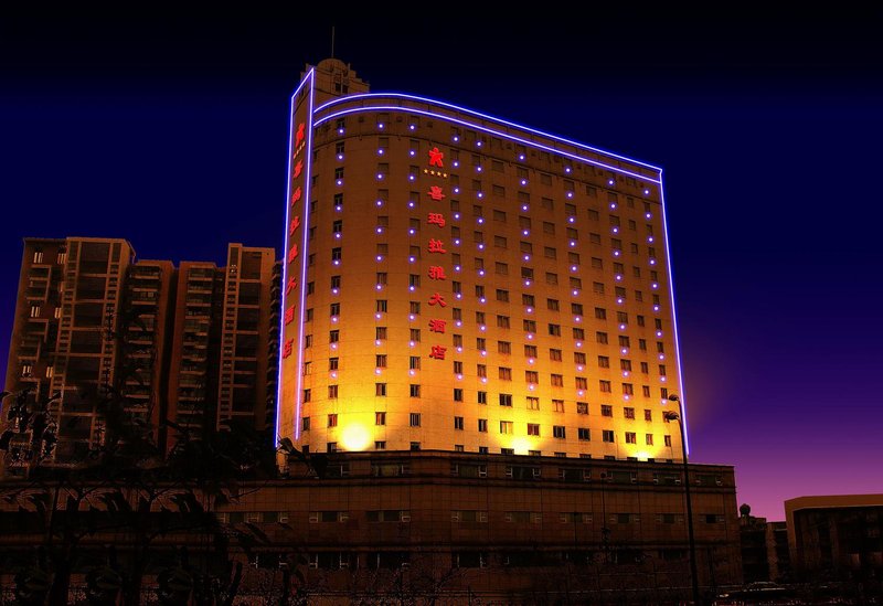 Himalaya Grand Hotel over view