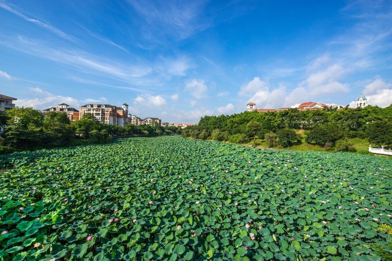 Country Garden Phoenix Hotel Heshan Over view