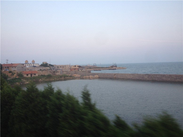 rizhao haohao yujia Over view