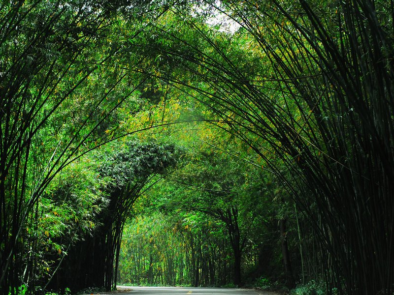 Xinglong village周边景点