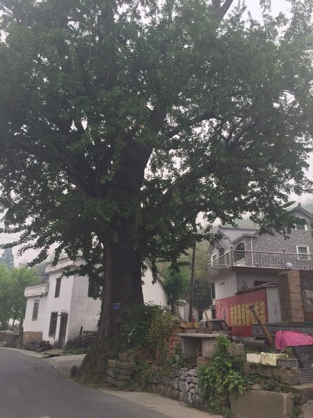 Xujia Bieyuan Hotel Over view