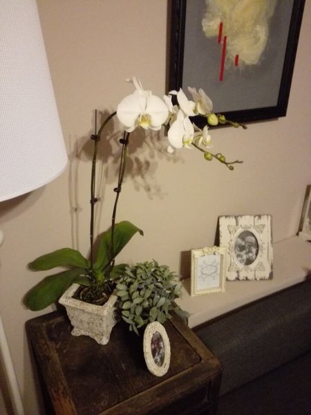 Meetplus (Changle Road)Other