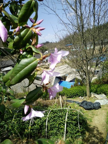 Zhangjiajie another foreign land inn Over view