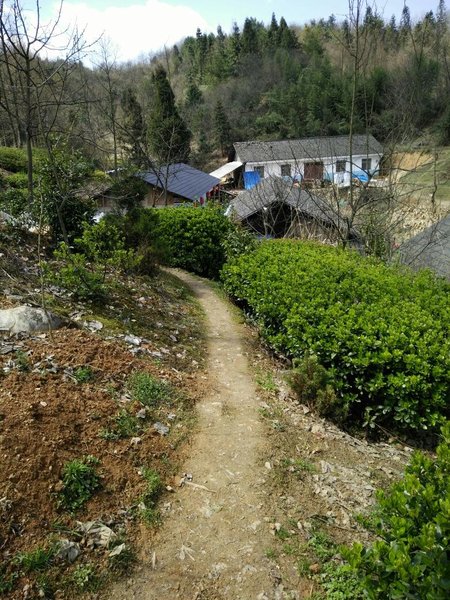 Zhangjiajie another foreign land inn Over view