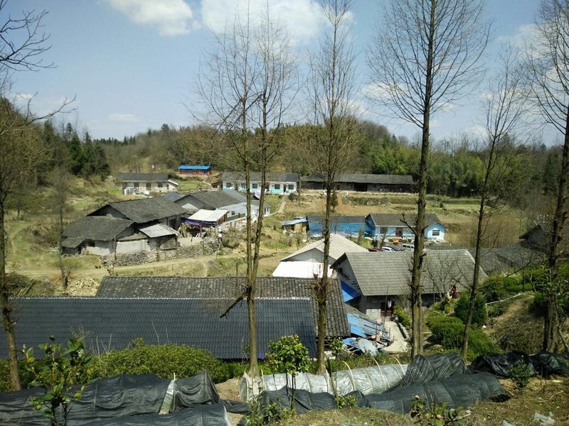 Zhangjiajie another foreign land inn Over view