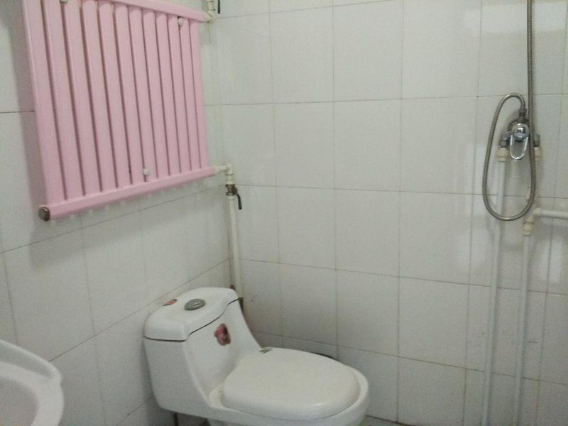 Wutaishan Baolianhua Hotel Guest Room