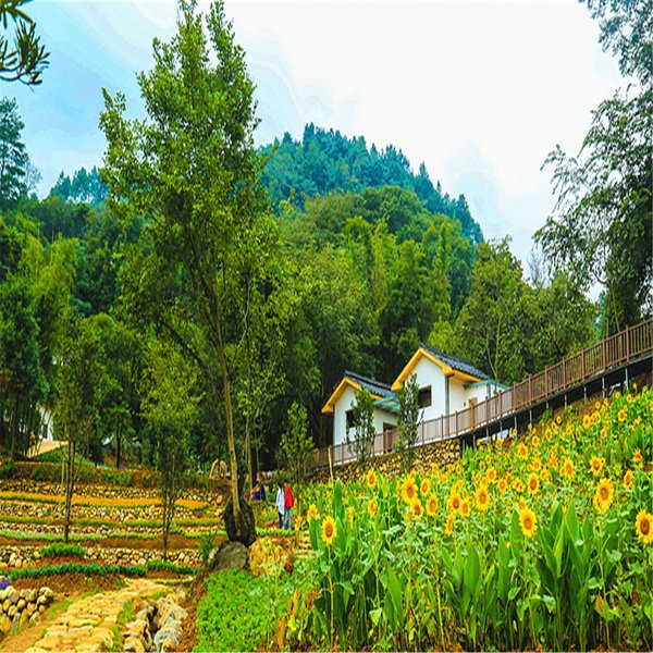 Jiucheng Shanshe Villa Hotel Over view