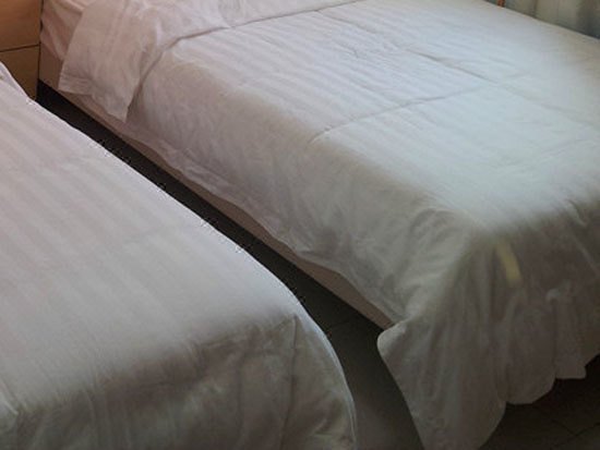 Elegant Warm Villa 客房