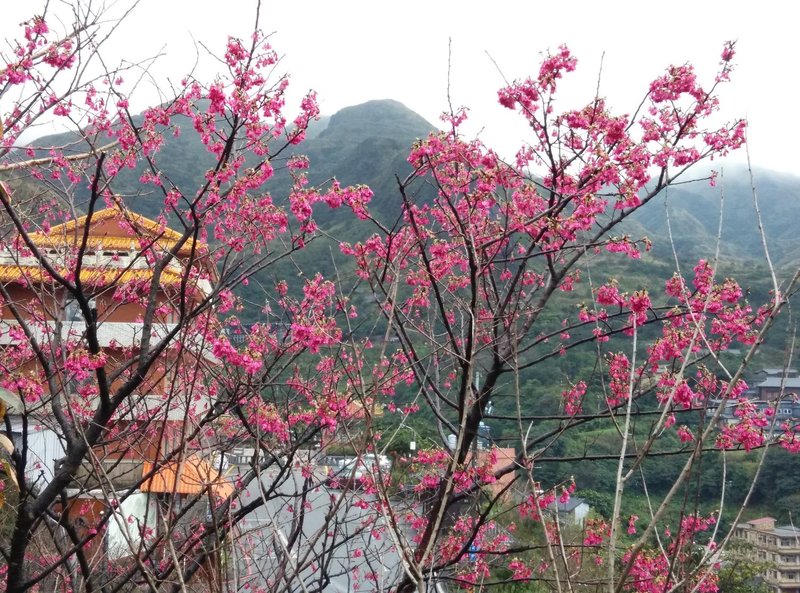 Jinguashih 101酒店外观