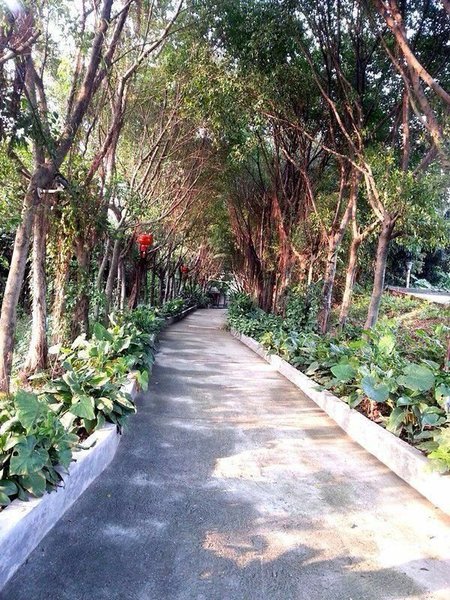 Yongya Brothers Hostel公共区域