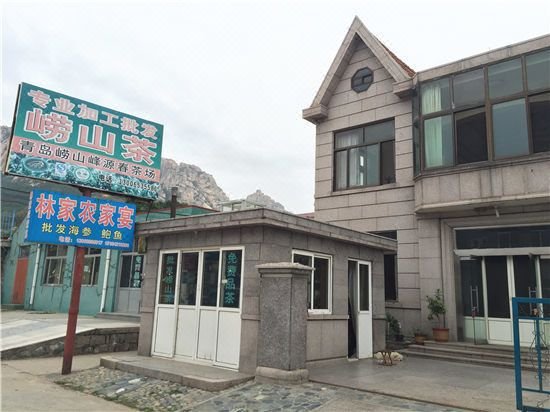 Linjia Farm House Over view