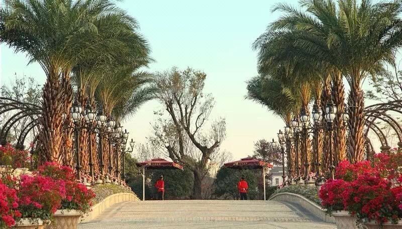 One Coconut Theme Villa Other