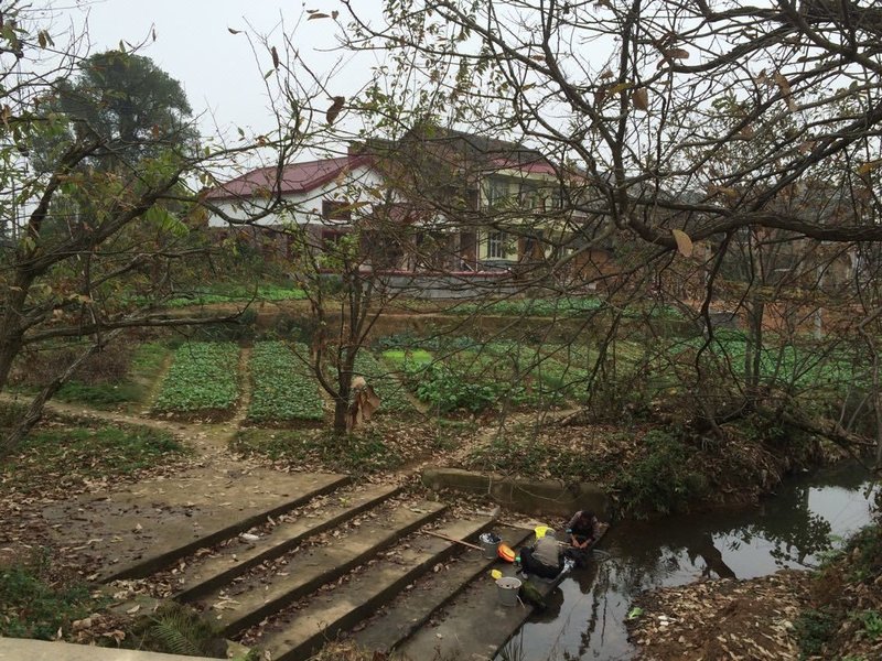 Elaine's HometownOver view