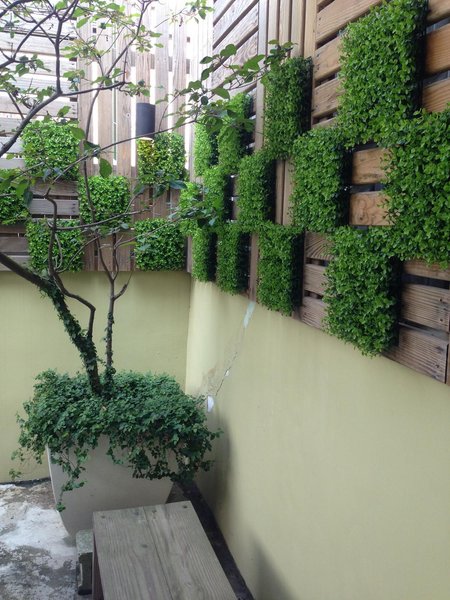 South Island 206 Hostel 酒店外观