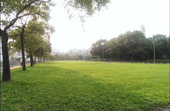 Taipei Cozy Apt Studio 其他