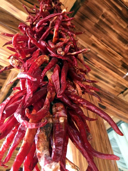 Jiacheng Inn Over view