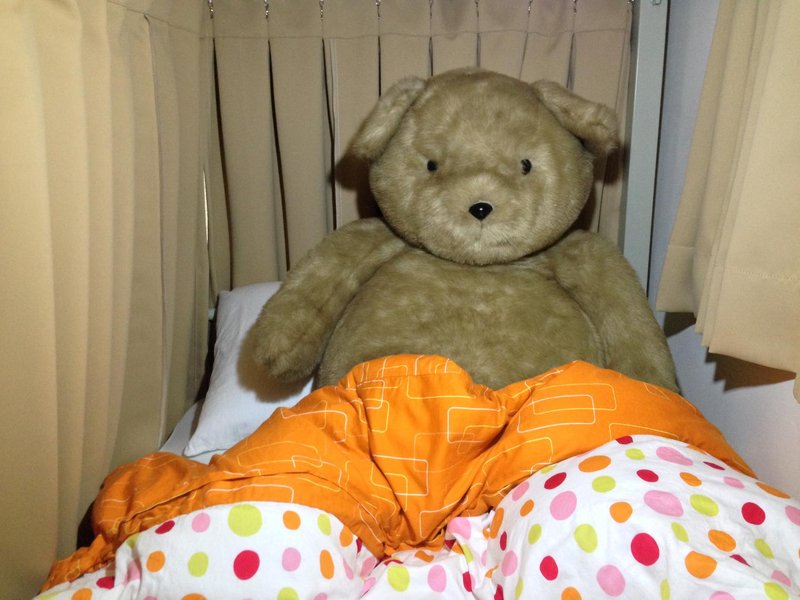 Pineapple Backpackers Hostel 客房