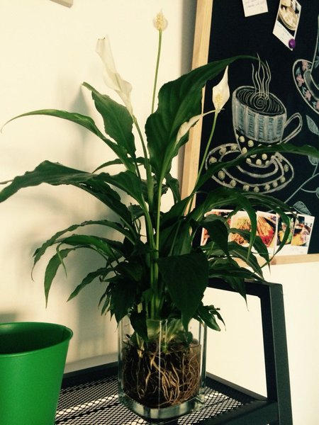 D101 Apartment Hotel public area