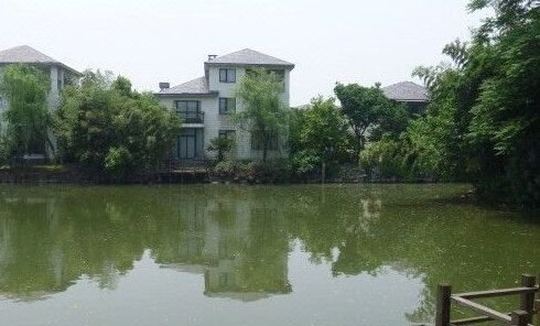 Lanpai Home Party Hotel (Shanghai Jiuzhou Datang Garden) Over view