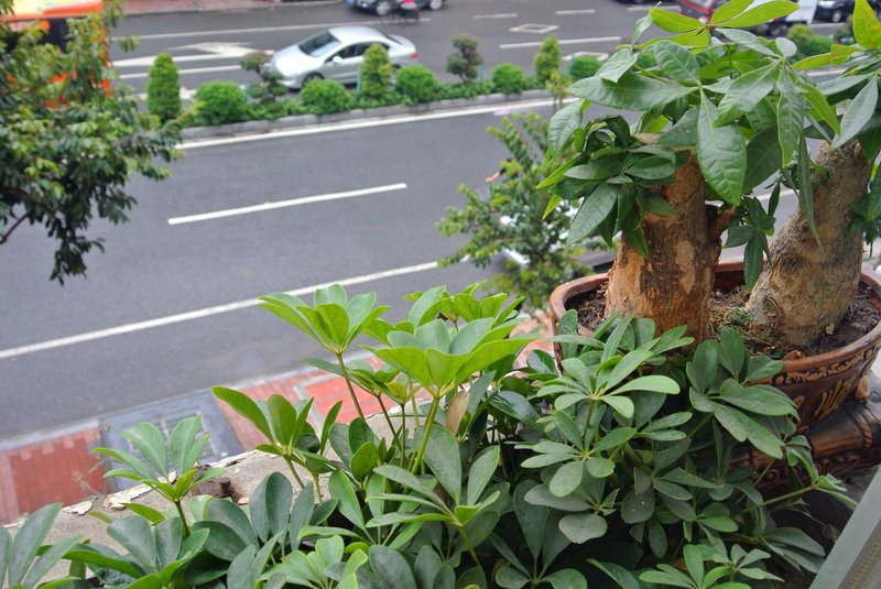 Xiaojia Inn 酒店外观