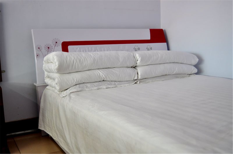 Hexigten Banner Zhang Dongzi farmhouse 客房