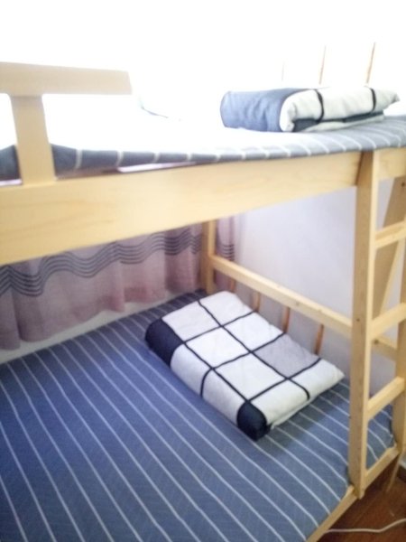 46Degree Youth Hostels Guest Room