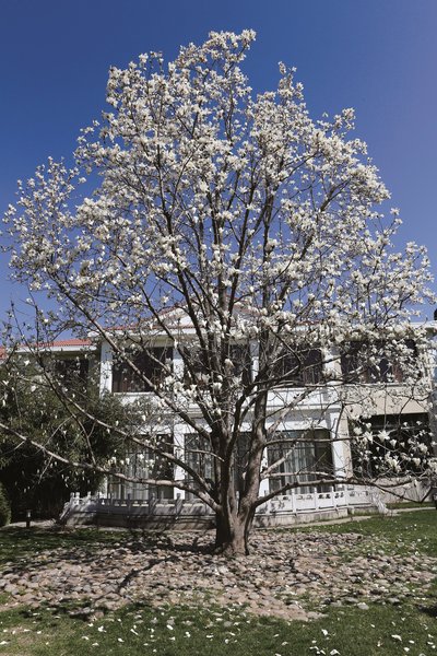 Diaoyutai State Guesthouse Over view